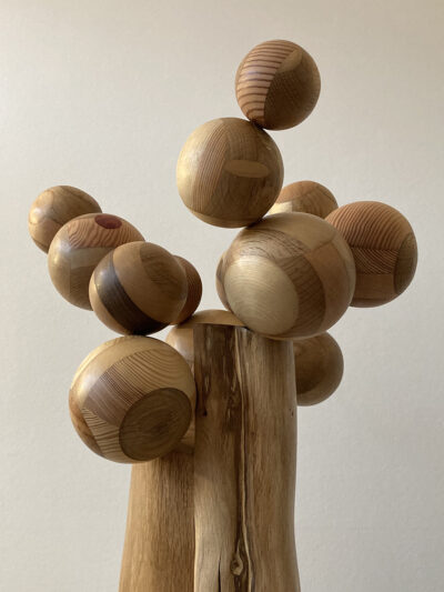 The Family Tree